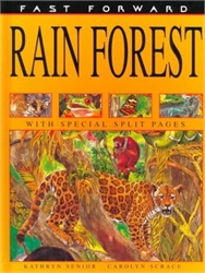 Fast Forward: Rain Forest
