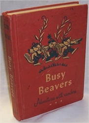 Busy Beavers: Adventures with Numbers