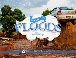 Famous Floods