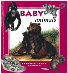 Baby Animals