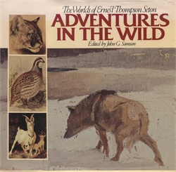 Adventures in the Wild