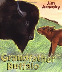 Grandfather Buffalo