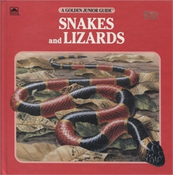 Snakes and Lizards