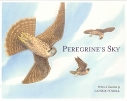 Peregrine's Sky