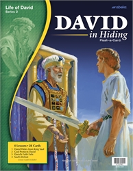 David in Hiding Flash-a-Card