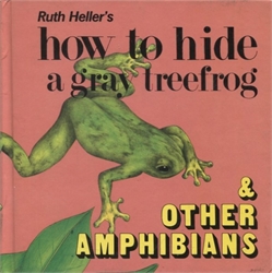 How to Hide a Gray Treefrog
