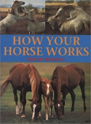 How Your Horse Works