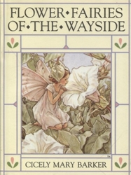 Flower Fairies of the Wayside