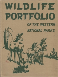 Wildlife Portfolio of the Western National Parks