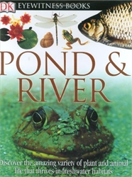 DK Eyewitness: Pond & River