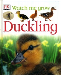 DK Watch Me Grow: Duckling