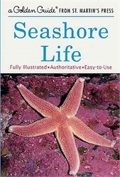 Golden Guide: Seashore Life