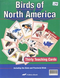 Birds of North America Flashcards (old)