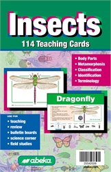 Insects Flashcards (old)