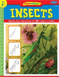 Learn to Draw: Insects