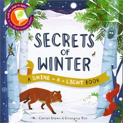 Shine-A-Light: Secrets of Winter
