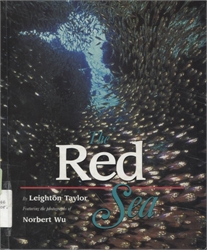 Red Sea