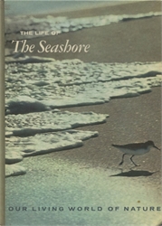 Life of the Seashore