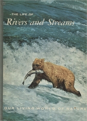 Life of Rivers and Streams