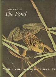 Life of the Pond
