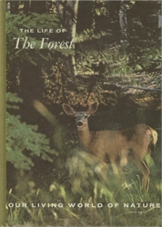 Life of the Forest