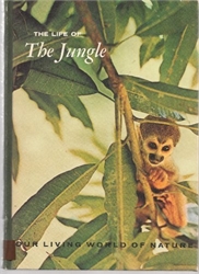 Life of the Jungle