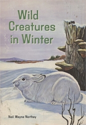 Wild Creatures in Winter