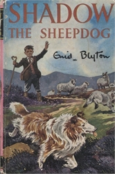 Shadow the Sheep Dog