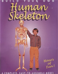 Build Your Own Human Skeleton