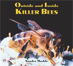 Outside and Inside Killer Bees