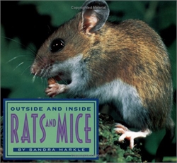 Outside and Inside Rats and Mice