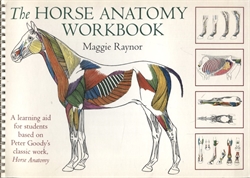 Horse Anatomy Workbook