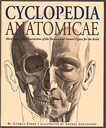 Cyclopedia Anatomicae