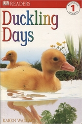 Duckling Days