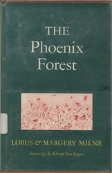Phoenix Forest