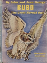 Bubo: The Great Horned Owl