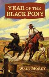 Year of the Black Pony