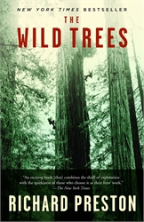 Wild Trees