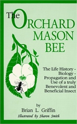 Orchard Mason Bee