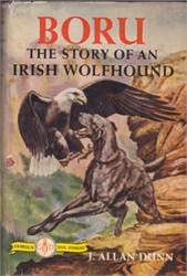 Boru, the Story of an Irish Wolfhound