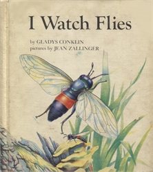 I Watch Flies