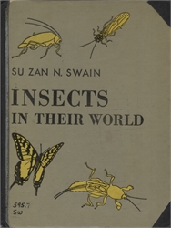 Insects in their World