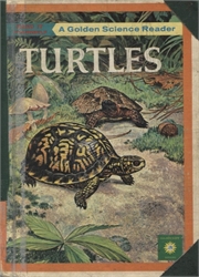 Turtles