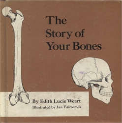 Story of Your Bones