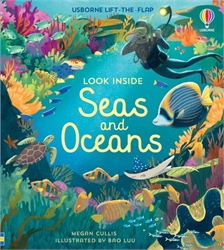 Usborne Look Inside Seas and Oceans