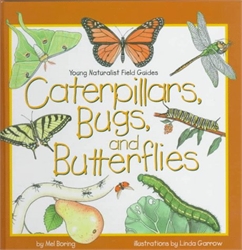 Caterpillars, Bugs and Butterflies