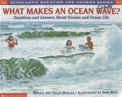 What Makes an Ocean Wave?