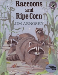 Raccoons and Ripe Corn