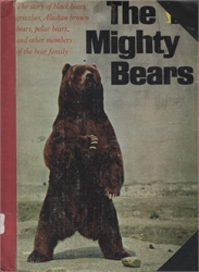 Mighty Bears