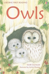 Owls